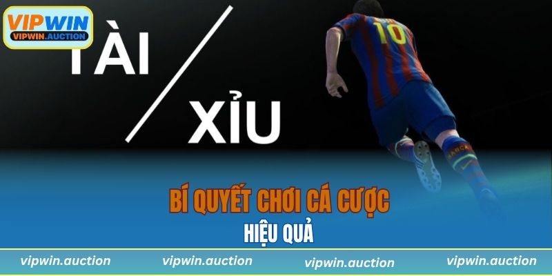 Bí quyết chơi cá cược hiệu quả 