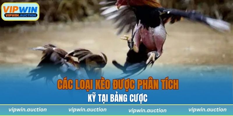 Các loại kèo được phân tích kỹ tại bảng cược 